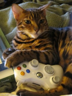 Kuri plays Xbox